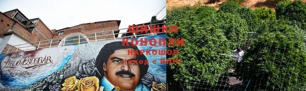 гашишное масло Алзамай